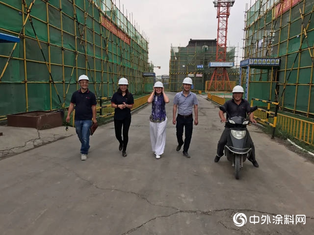 4000亿涂装乱世佳人：不爱医生爱石匠