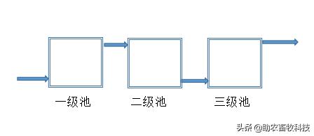 鱼塘水质差用什么改善水质,鱼塘流入养殖场废水如何处理