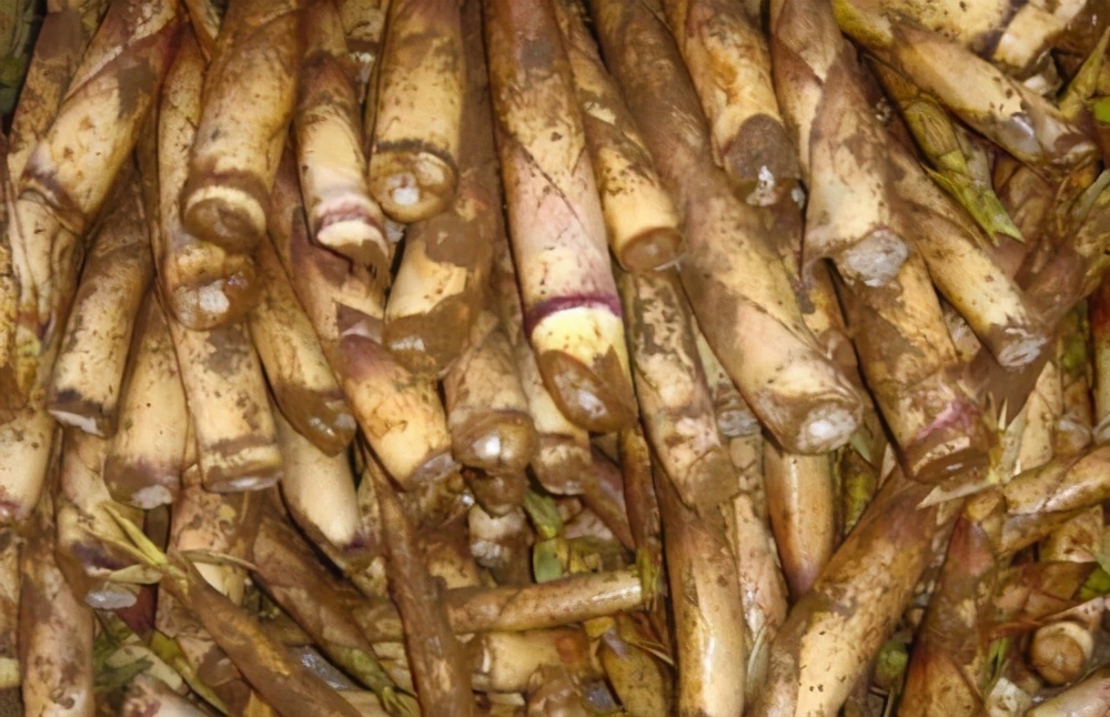 梁平土特产竹笋,重庆忠县正宗竹笋干