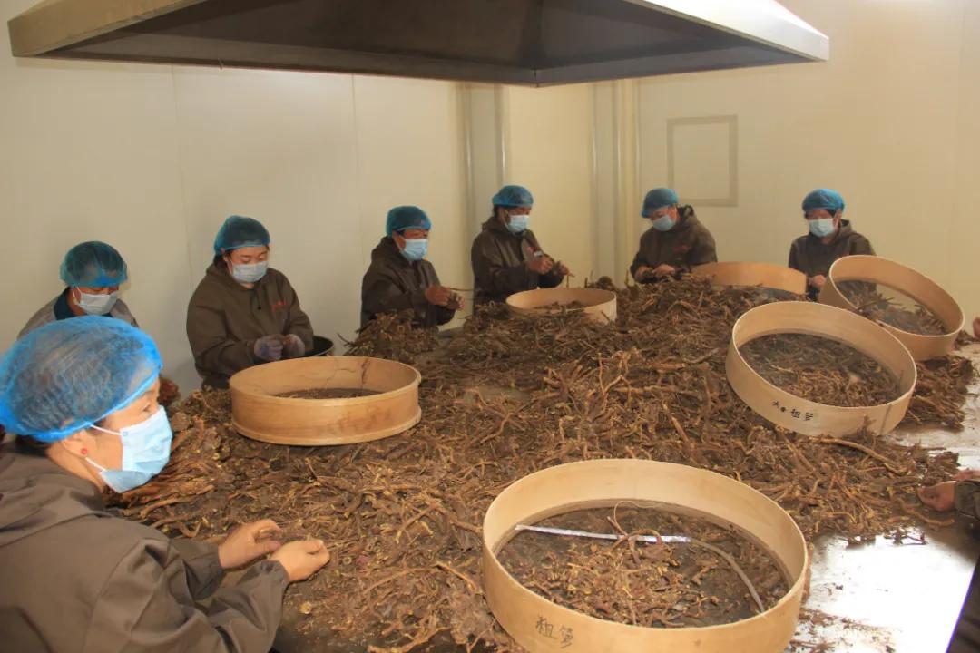 幸福生活到底啥模样,幸福生活到底是什么样的