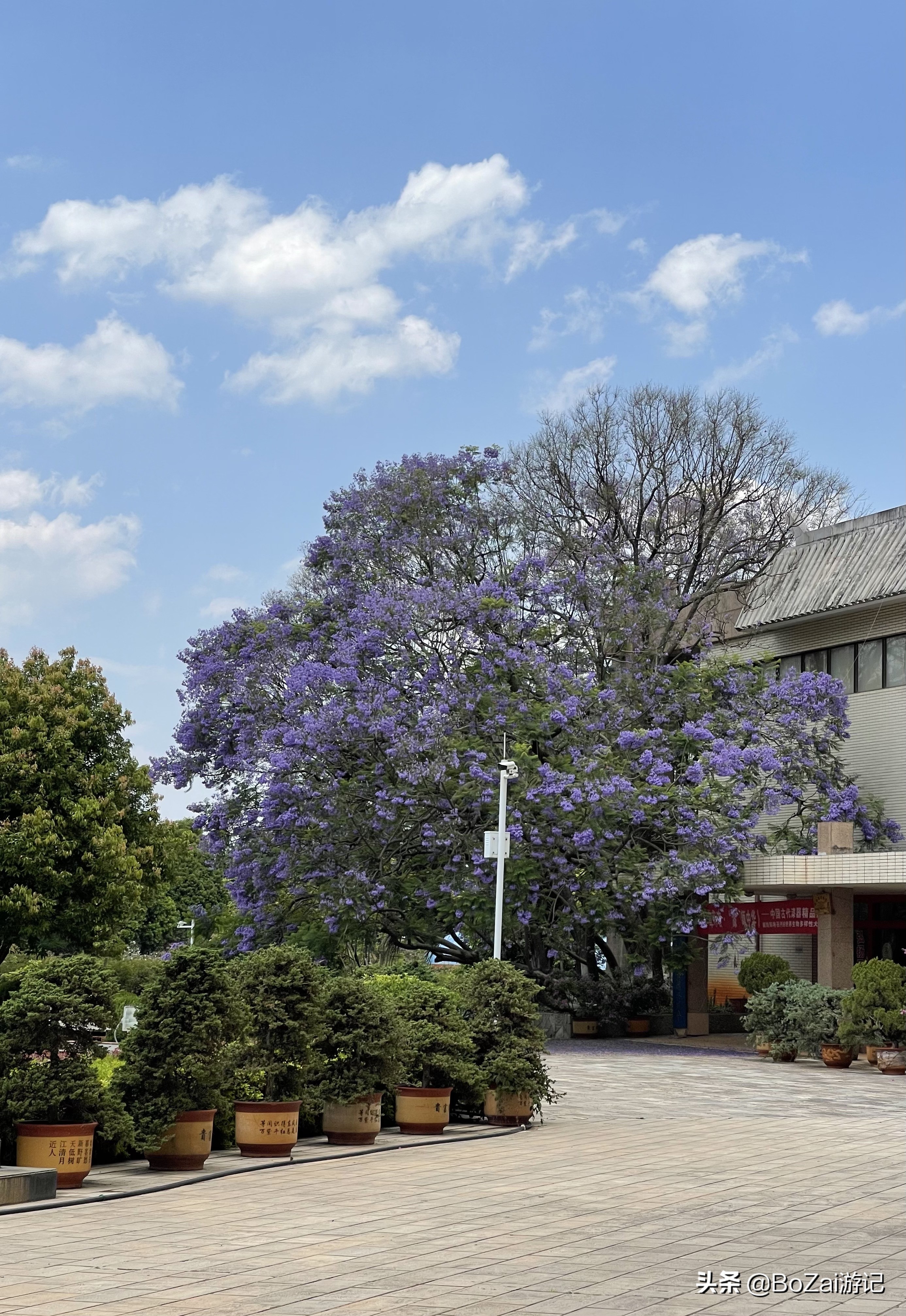 到昆明游玩必去的景点推荐一下,昆明官渡附近景点哪里好玩免费的