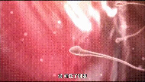 科学家发现精子与卵子,科学家发现精子和卵子