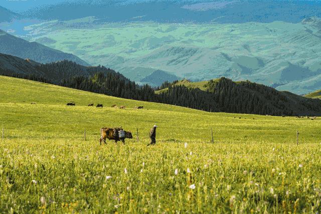 茶卡到大柴旦翡翠湖,茶卡怎么去大柴旦翡翠湖