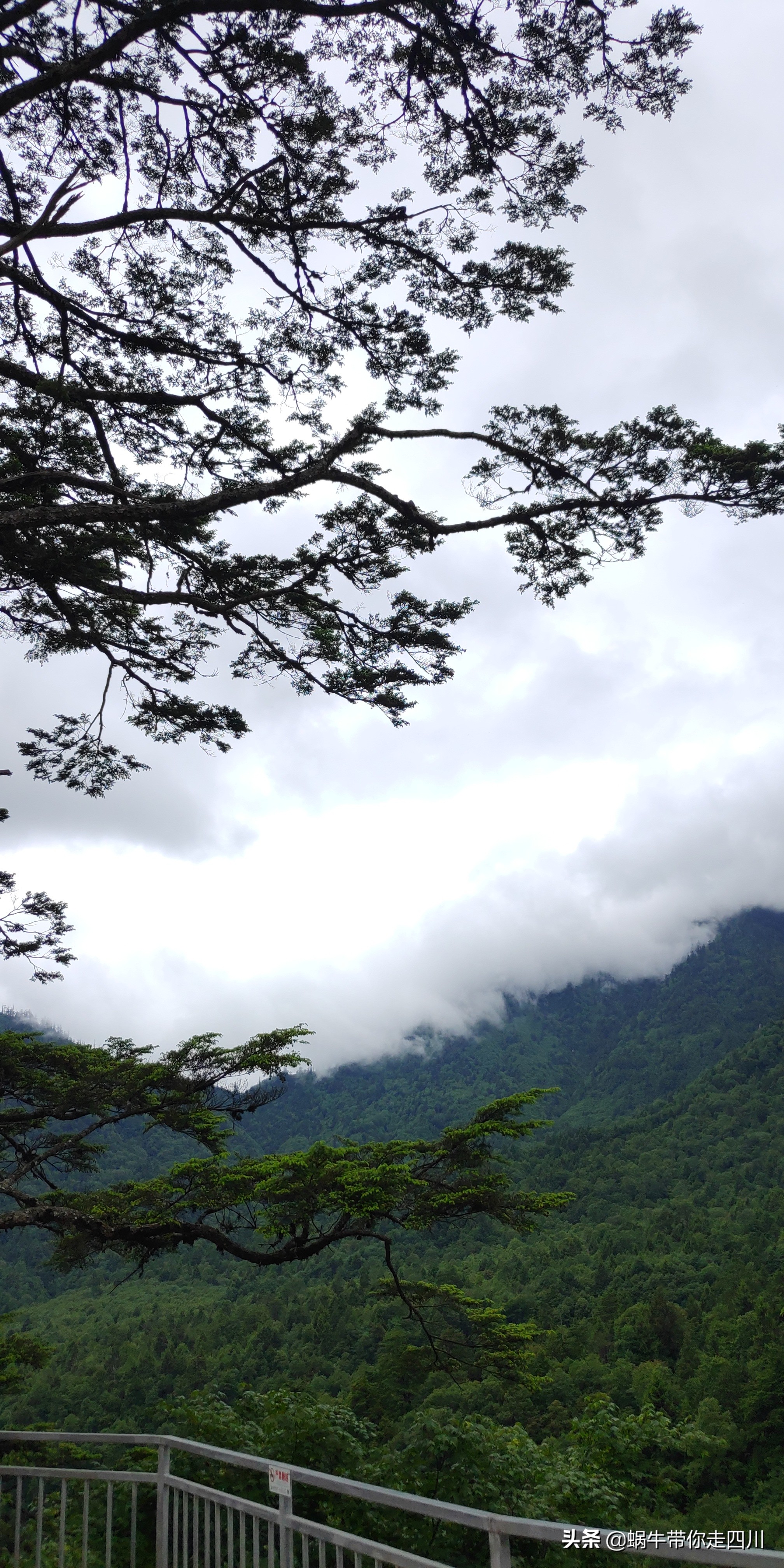 带小朋友出去看小动物,带小孩去海洋动物园