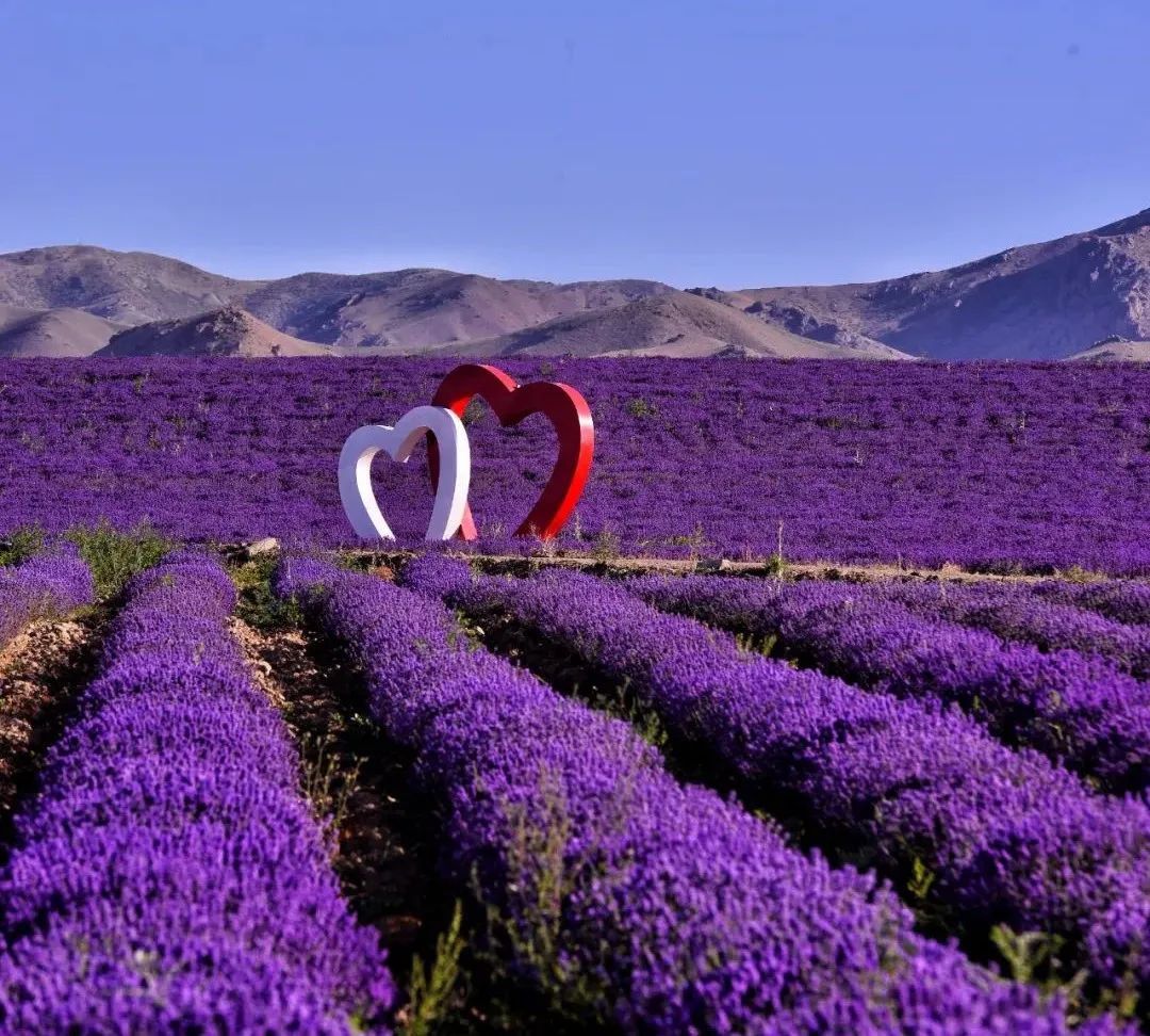 伊犁最美的50处绝色美景,伊犁最美的小众景点