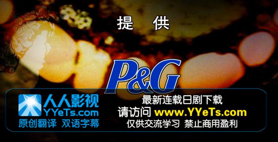 揭秘神一般的字幕组,你所不知道的字幕组