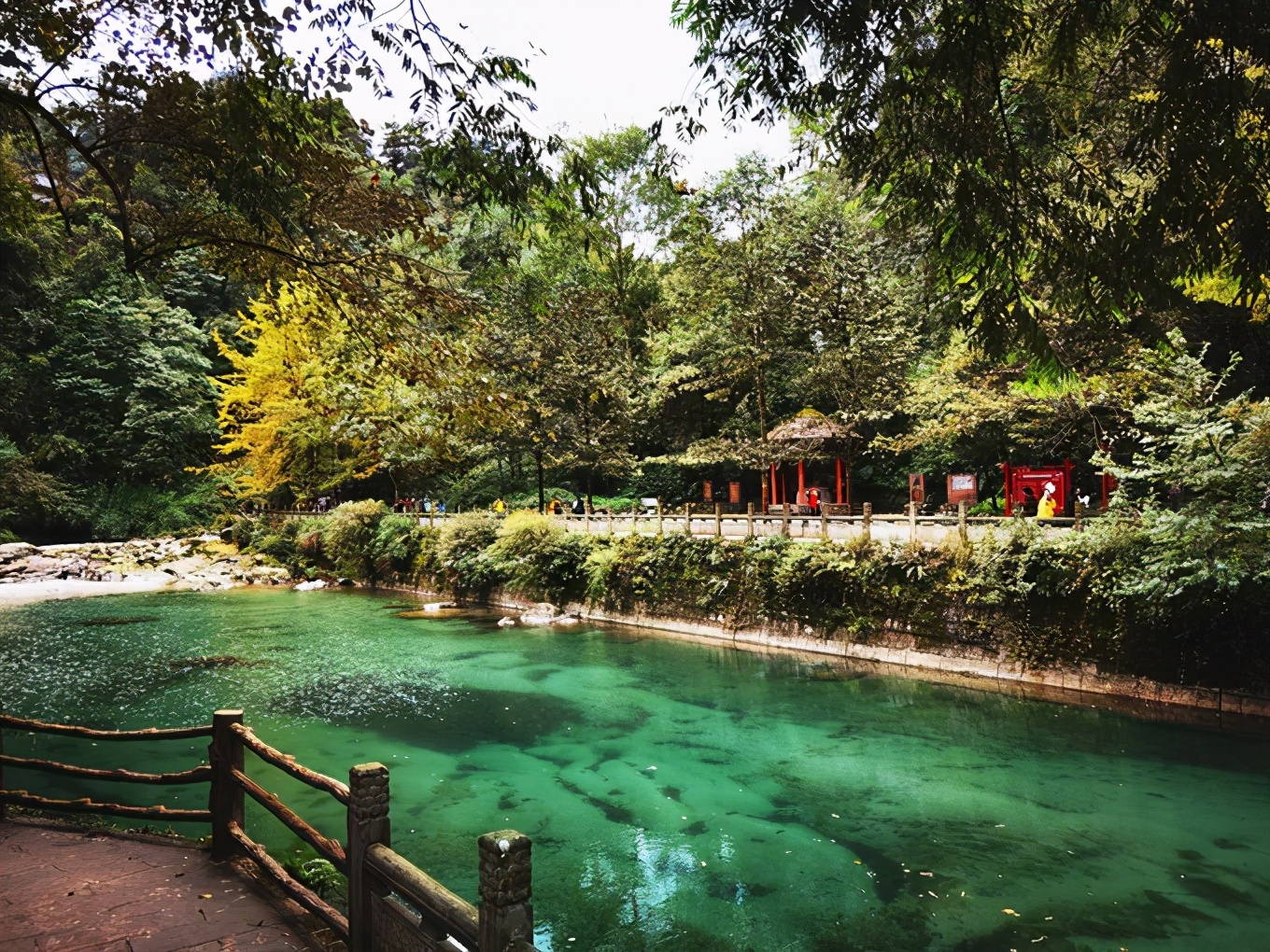 深秋峨眉风光好——「清音阁/金顶/红珠山温泉」三日行