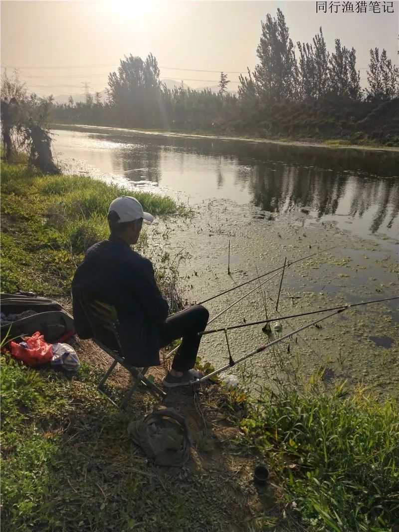 2019钓鲫鱼视频全集,钓鲫鱼的笔记