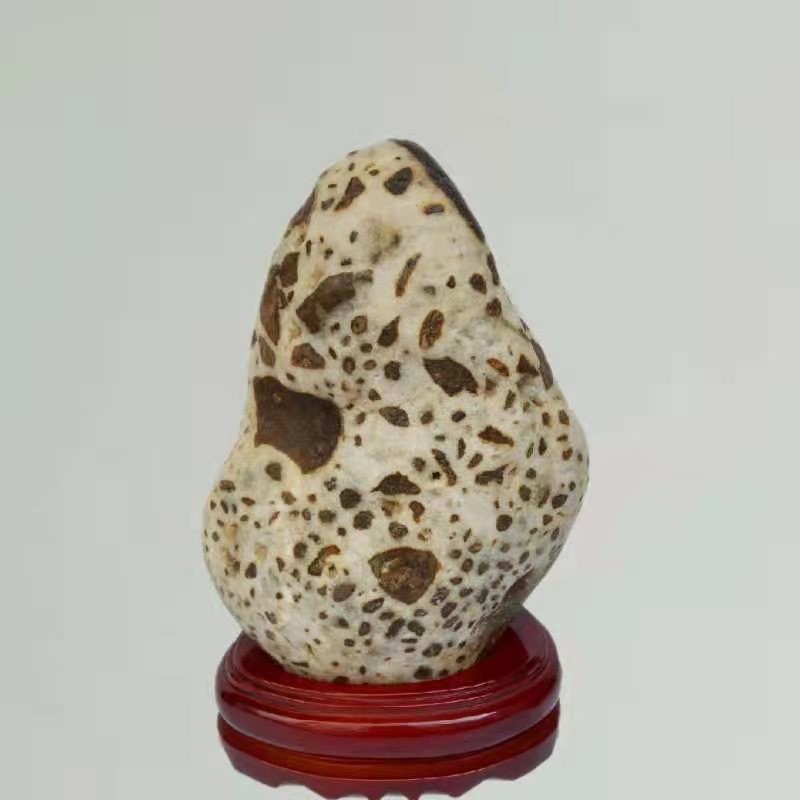 一个七十老翁的玩石生活