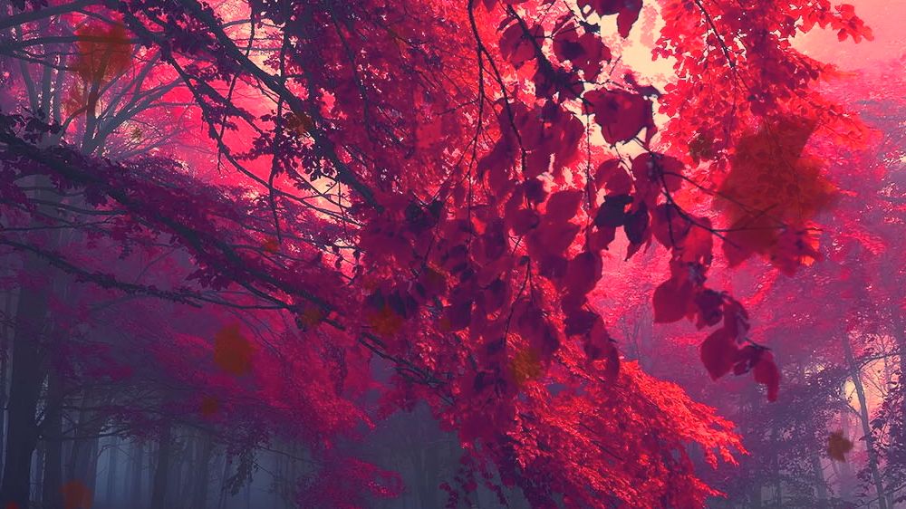 时间旅人歌曲,时间的旅人周深