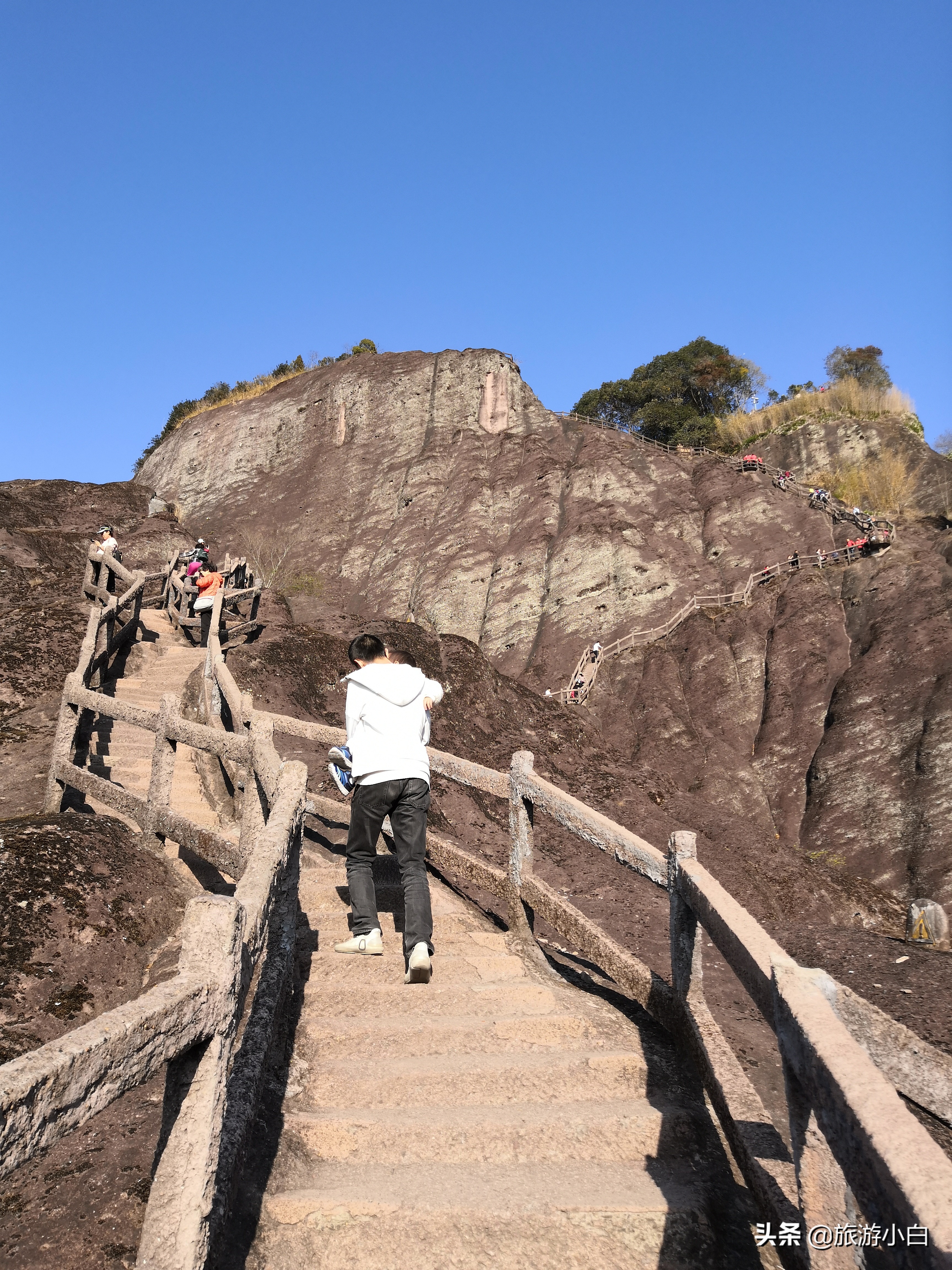 大红袍好看又好喝,品尝大红袍的感受