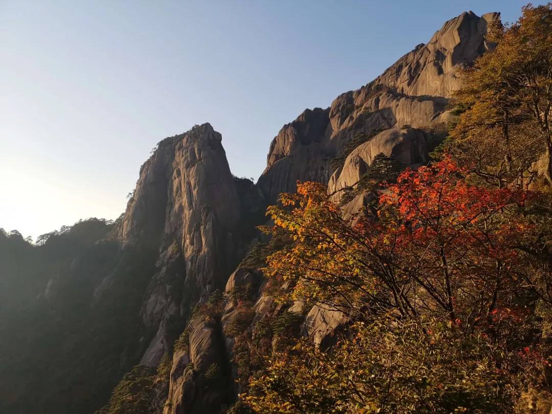 秋至黄山：当秋光与山色齐放