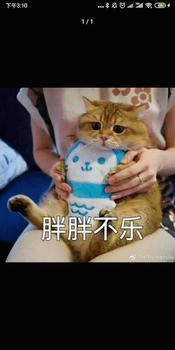 各个手机系统的实用功能,手机系统好用功能