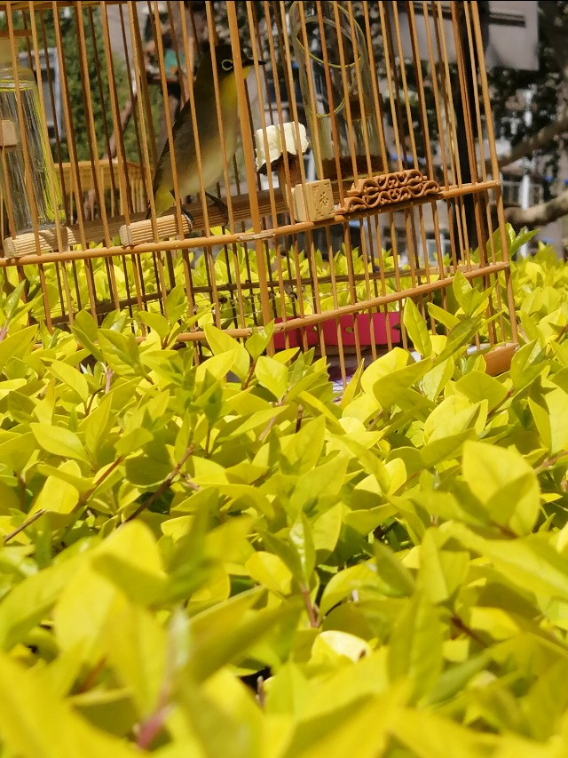 文爱绣眼武爱眉儒雅之处论收藏