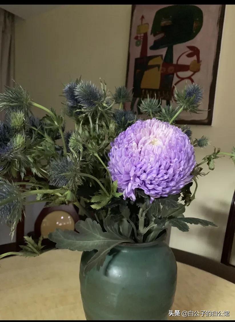 花香袭人抖音,花香袭人电影免费观看