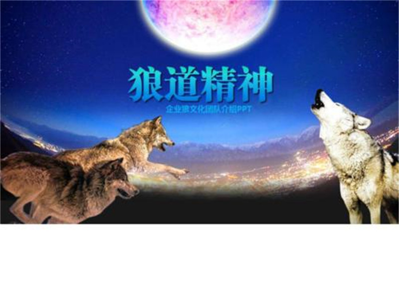 狼道学狼性,狼道为人处世