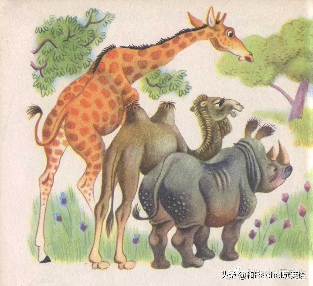 斯凯瑞金色童书解析,斯凯瑞金色童书介绍内容