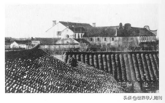 弃婴之死真相,弃婴抚养28年真相