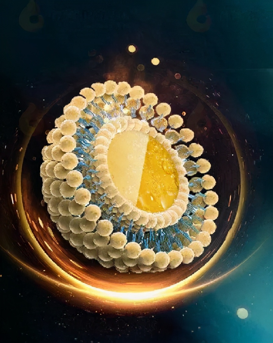 圣迪妮尔芙蓉霜正确的使用方法,圣迪妮尔芙蓉霜适合什么肤质