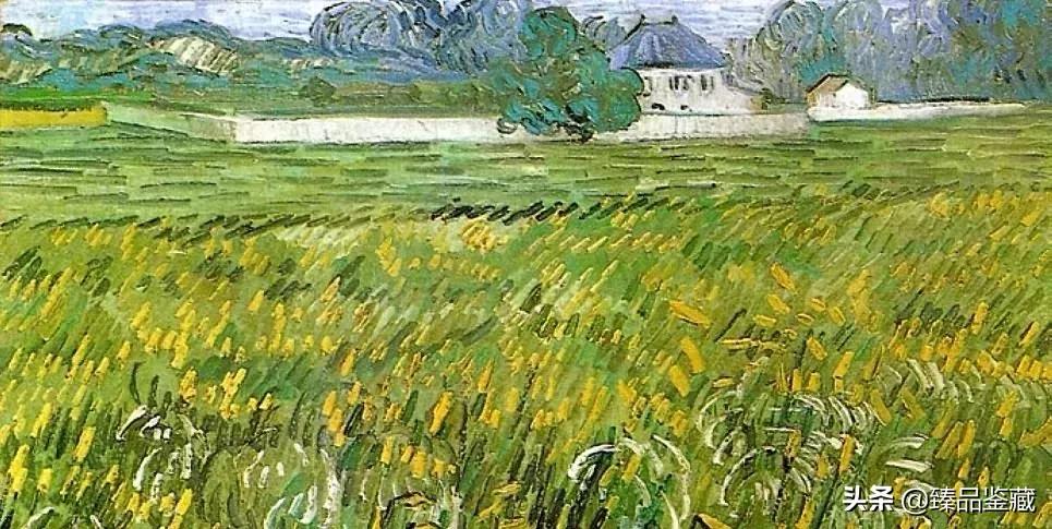 梵高在薄情的世界深情的活着,梵高是一个孤独的疯子
