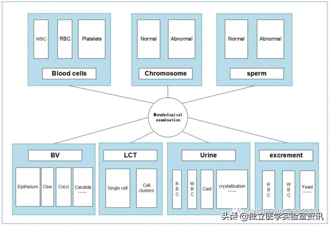 AI检验项目挖掘的实践，看医检数字化创新有哪些…