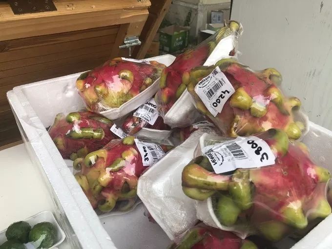 匈牙利文化节,匈牙利布达佩斯活动