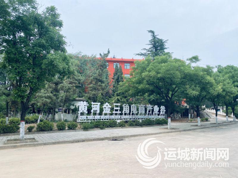 闻喜电商仓库,闻喜黄河金三角电商产业谷直播间