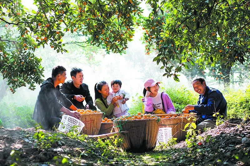 醉美拍照,醉美街景随拍