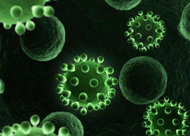 淄博化工城创始人浦彤谈:乳胶漆腐败霉变的原因及防治方法