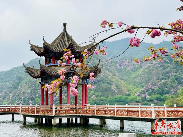 阳明山女主角是谁扮演,阳明山电影女主角是谁