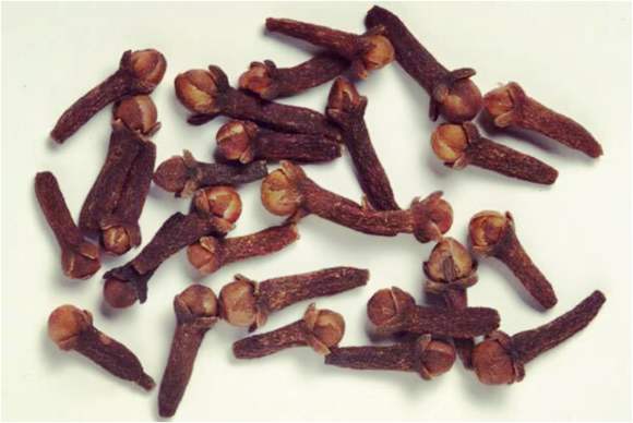 古人蛀牙么,古人如何防止蛀牙