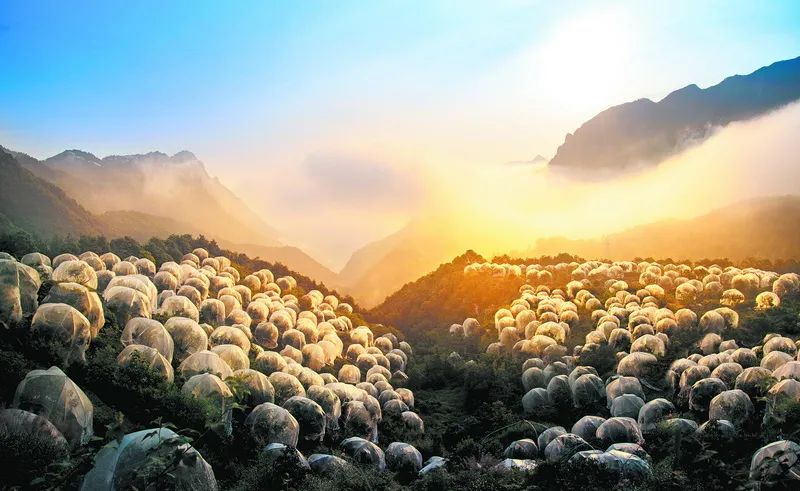 醉美拍照,醉美街景随拍