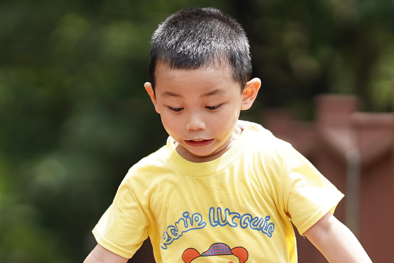 索尼适马851.4定焦镜头,适马85f1.4索尼微单