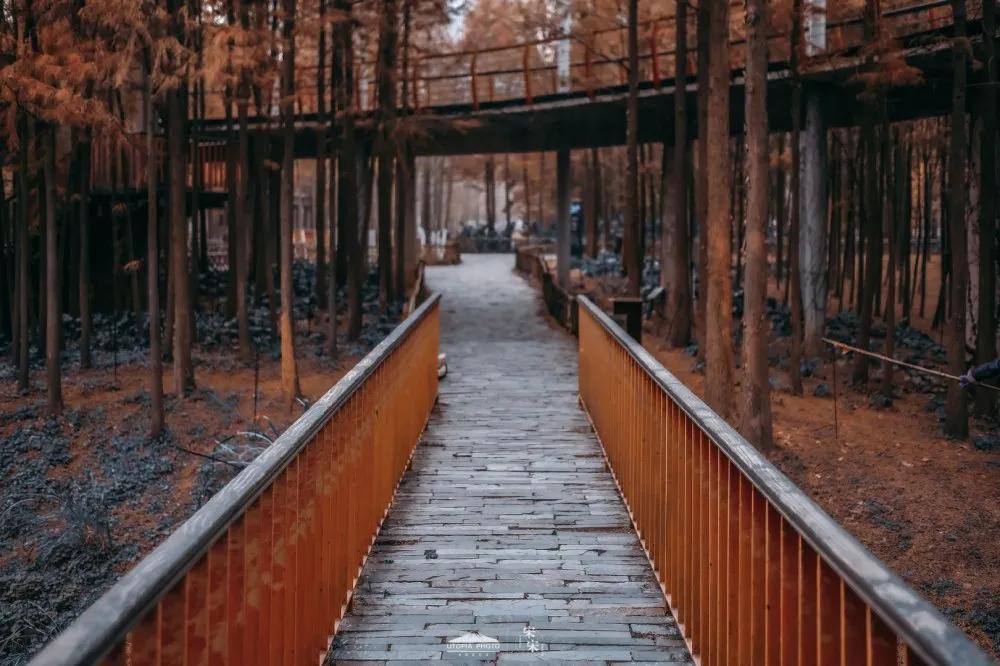 24小时玩转宜昌,半天怎么玩转西湖