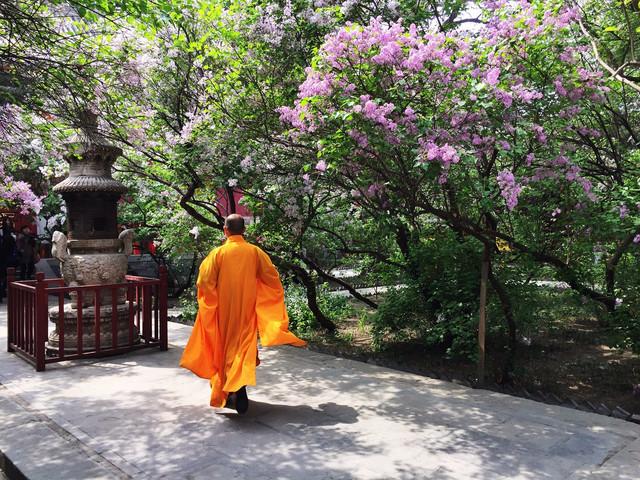 和尚和尼姑存在的意义是什么,和尚出家是什么意思