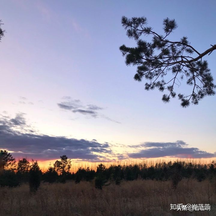 在东北吃饭是一种什么体验,跟东北人吃饭是什么体验