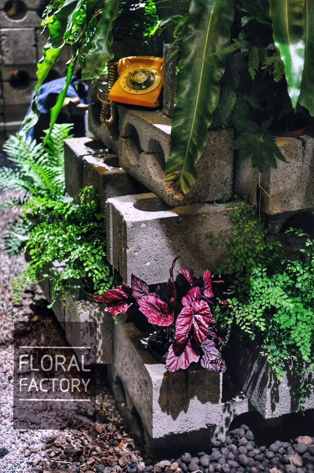 爆改废弃工厂，看三个姑娘如何施展植物魔法