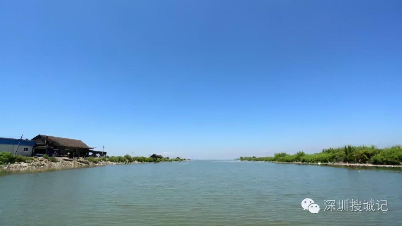 深圳福永黄油蟹做法,深圳正宗黄油蟹