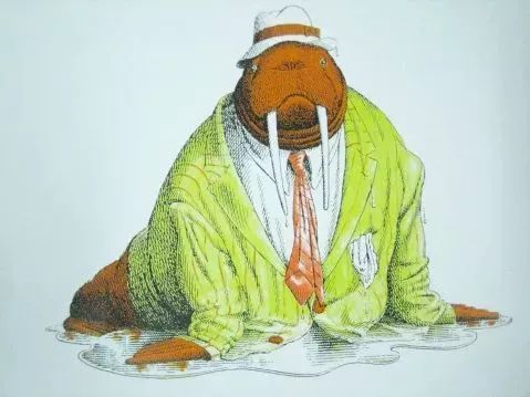 动物绝对不能穿衣服的绘本感言,比较好看的动物绘本推荐