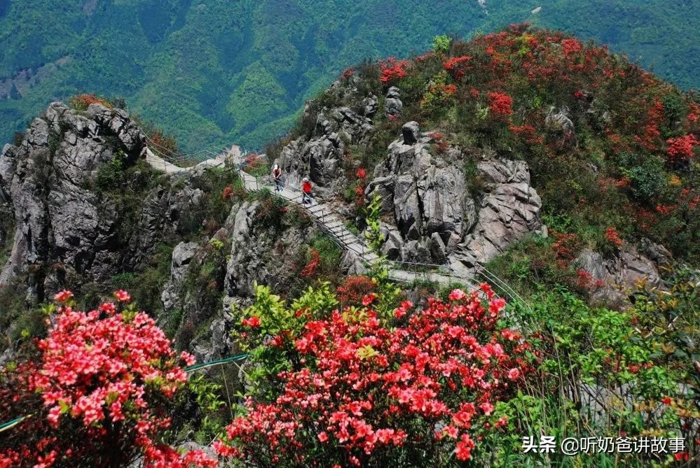 清远金子山什么时候去最好,深圳到清远金子山坐什么车