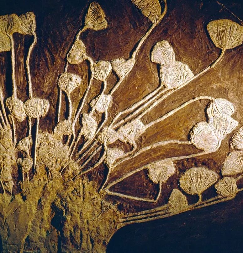 贵州速度，蔚为大观