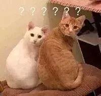 柳岩推荐韩国痛经药,欧阳娜娜推荐的祛痘膏链接