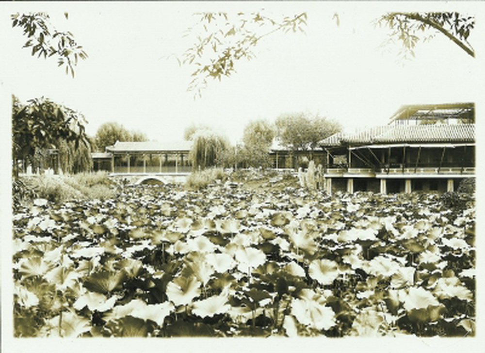 老北京夏天避暑,北京避暑老照片