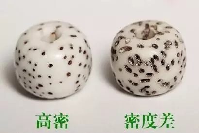 星月菩提的7大基本知识,星月菩提避坑指南