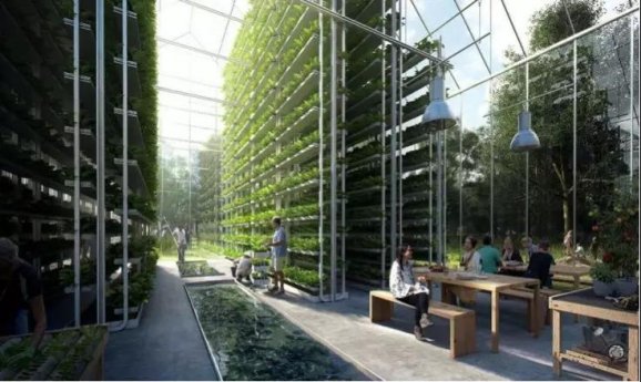 用现代科技过原始人生活,用现代科技过上原始生活