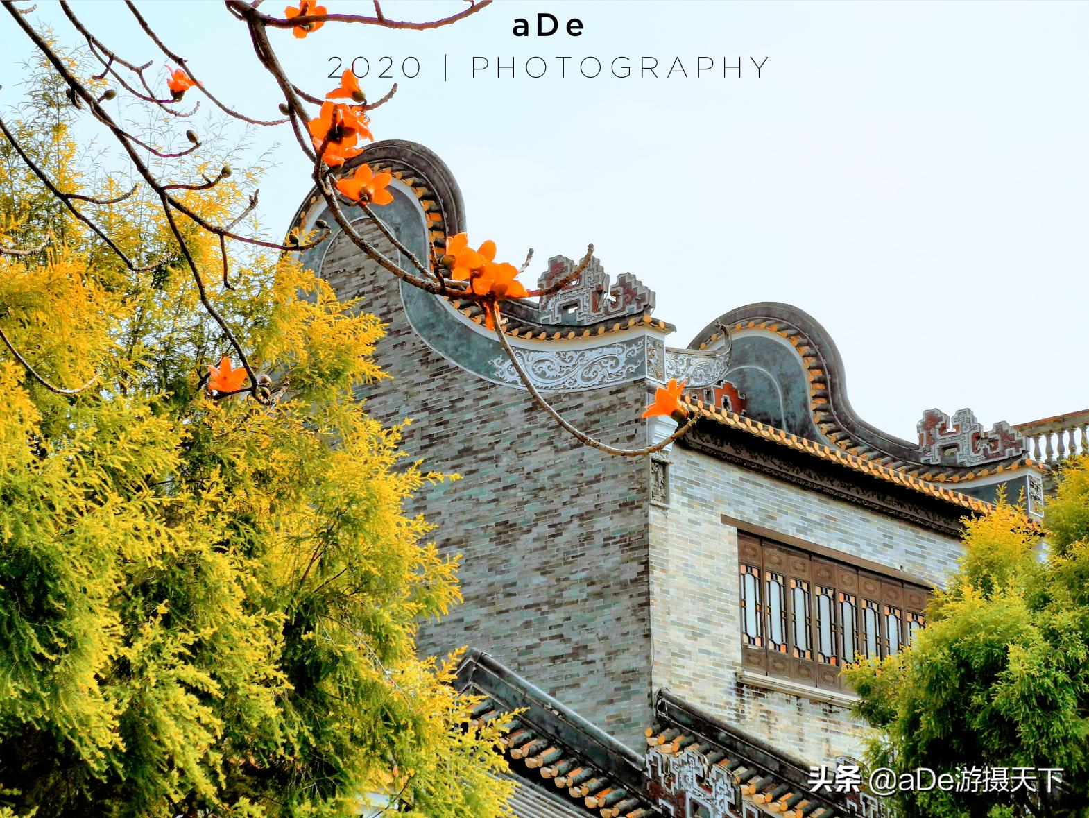 体验岭南粤韵之旅沙湾古镇半日游,沙湾古镇包含了什么岭南文化元素