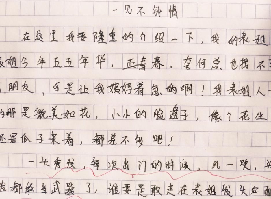 犯错了小作文,一不小心犯错作文