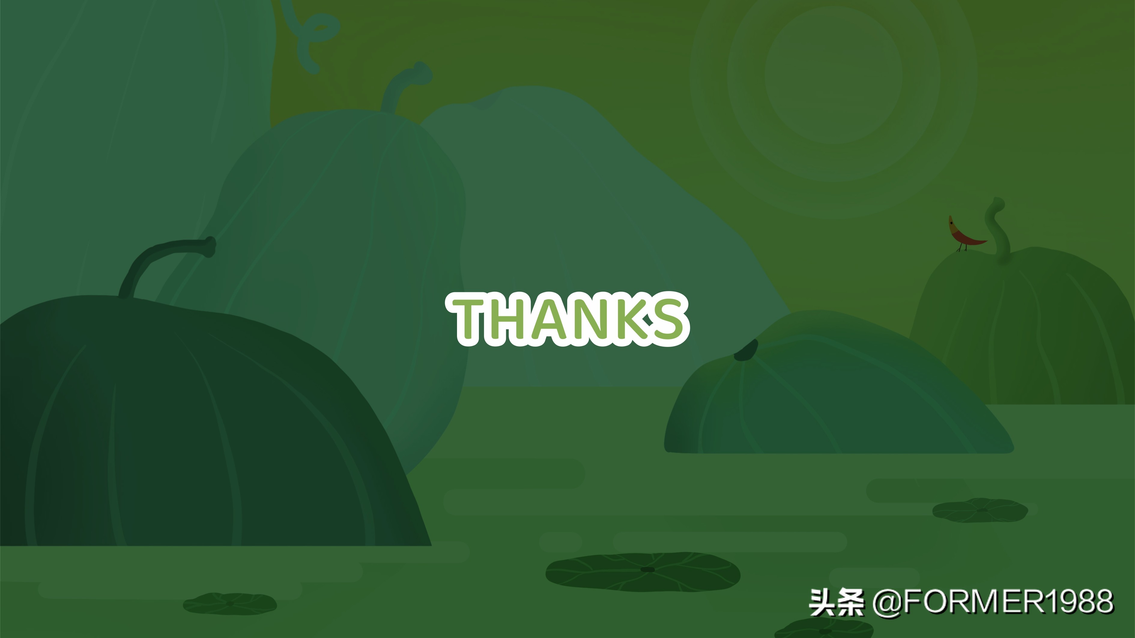 柠檬荷叶茶包装设计,夏日果茶字体设计