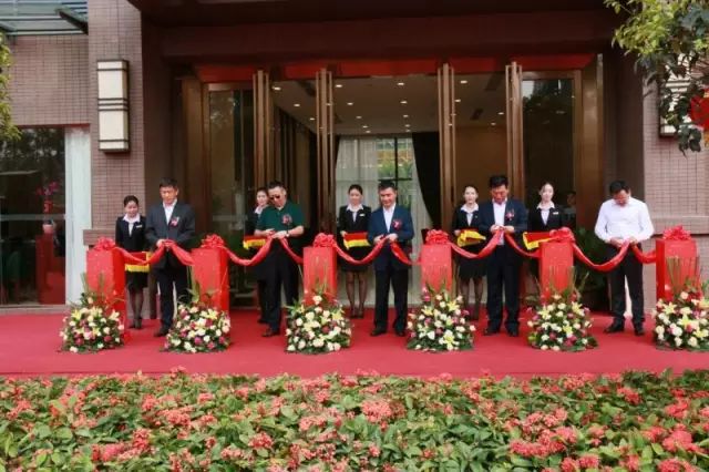 松山湖中集智谷,松山湖厂房办公