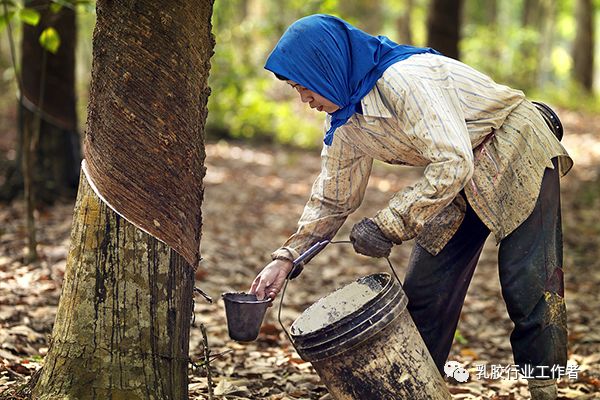乳胶枕头的乳胶含量多少为好,乳胶枕头哪个品牌的乳胶含量高